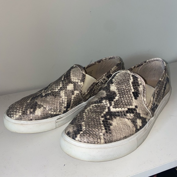 Steve Madden Shoes - STEVE MADDEN SIZE 8.5 SNAKE SKIN SLIP ON’S